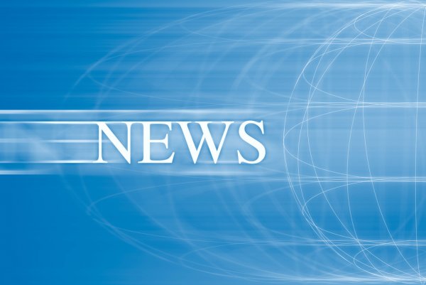 Пьяный водитель сбил выскочившую на дорогу лошадь в Республике Алтай