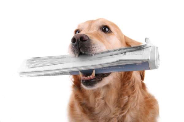 Сбер внедрит ИИ в социальные учреждения Тувы