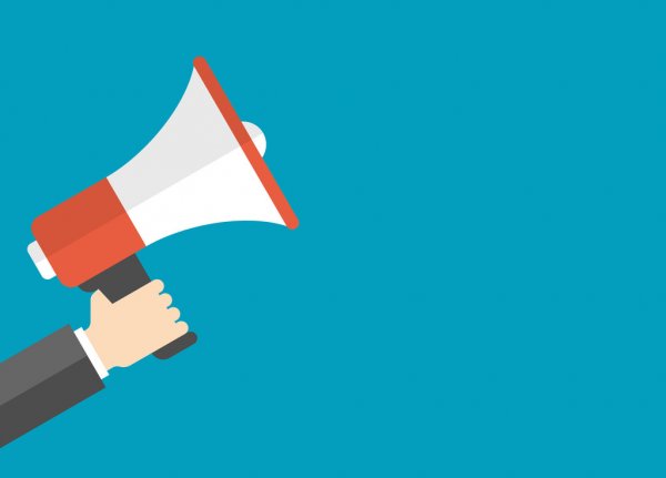 Бойцы претендентского отряда // Хамзат Чимаев и Магомед Анкалаев одержали важные с точки зрения карьерных перспектив победы