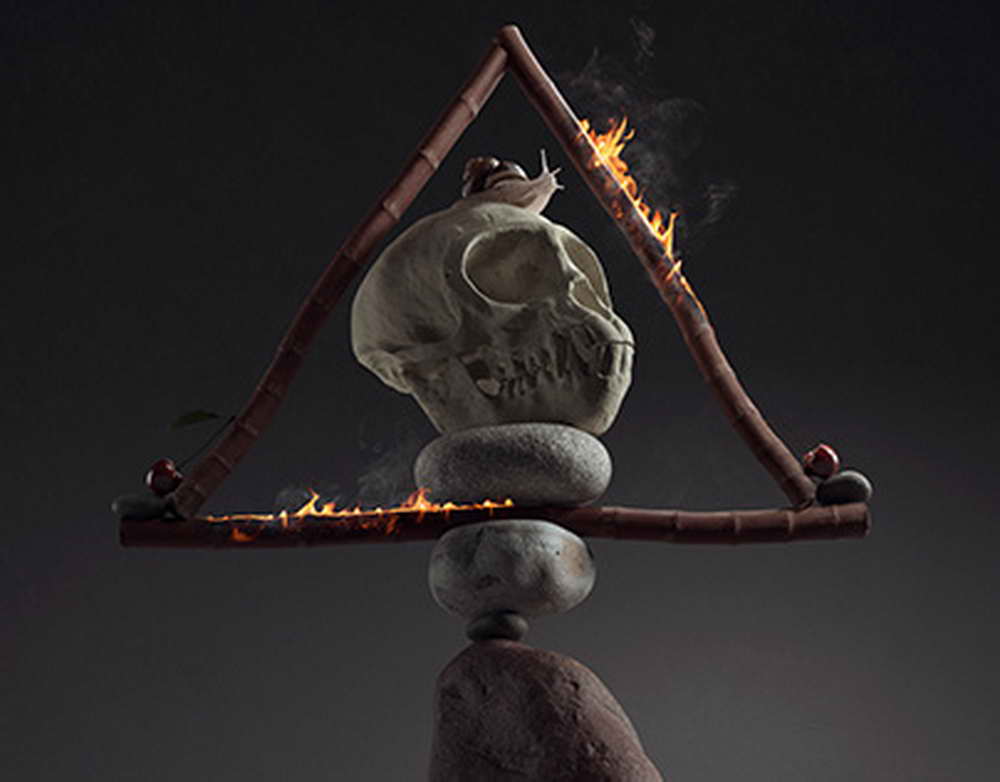 Трое сотрудников брянских лесничеств были удостоены региональной награды