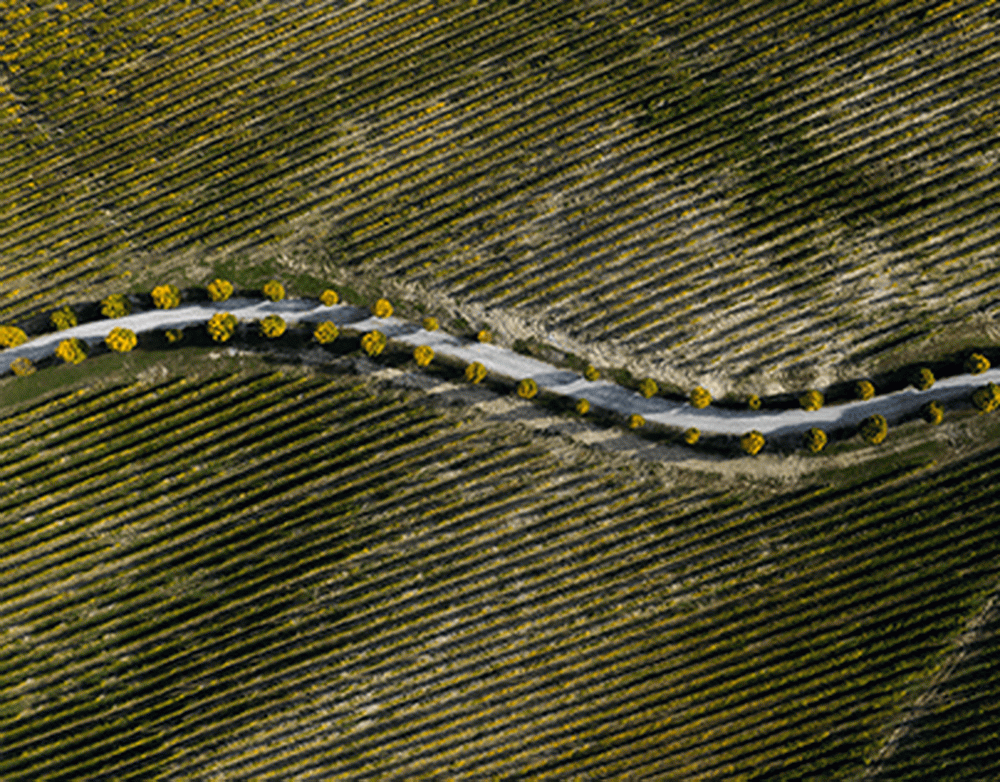 Потеря лесов в мире с 1990 года сопоставима с половиной территории Китая  ООН